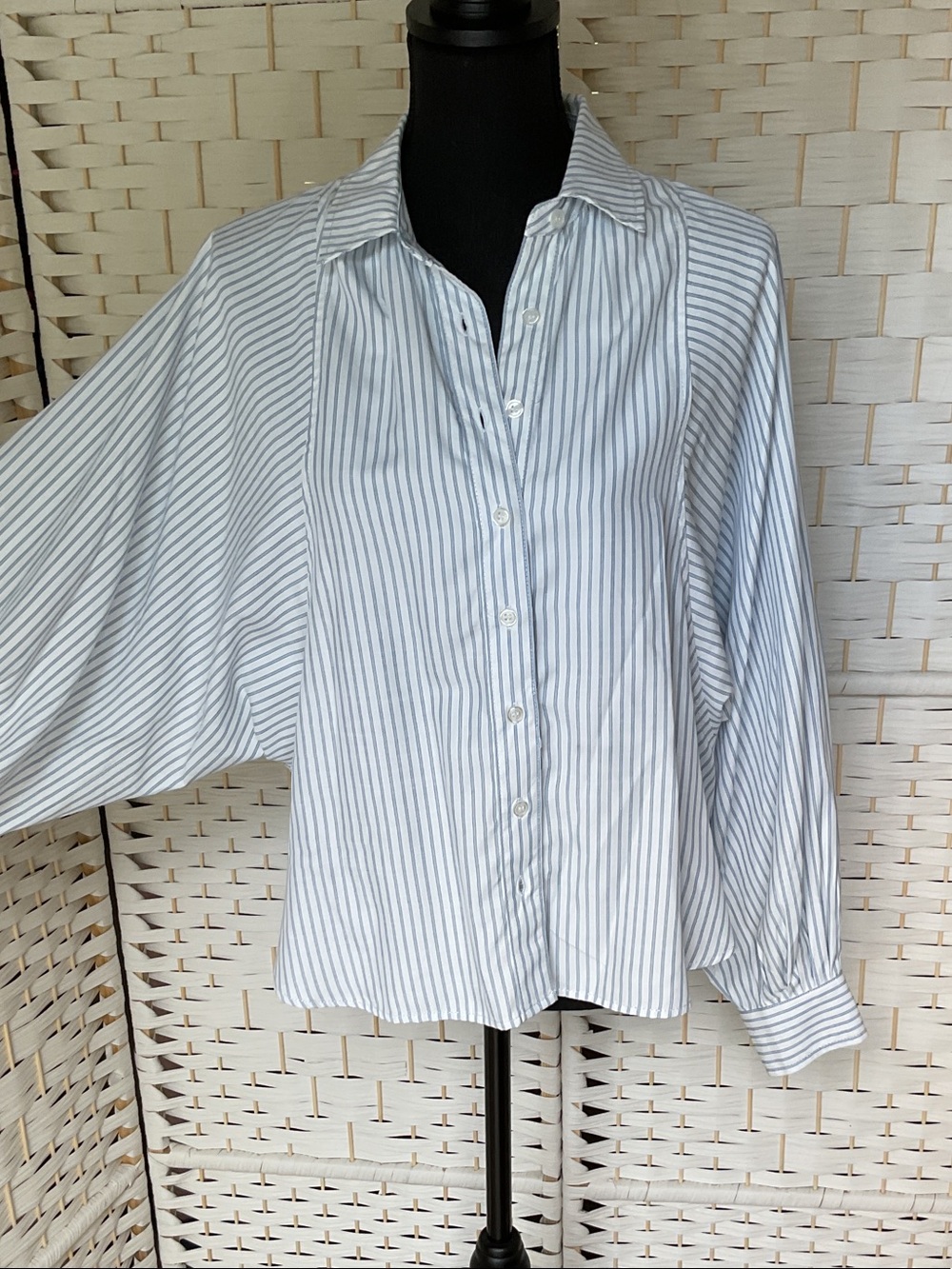 Max Studio White Shirt with Light Blue Pinstripes Button-Down